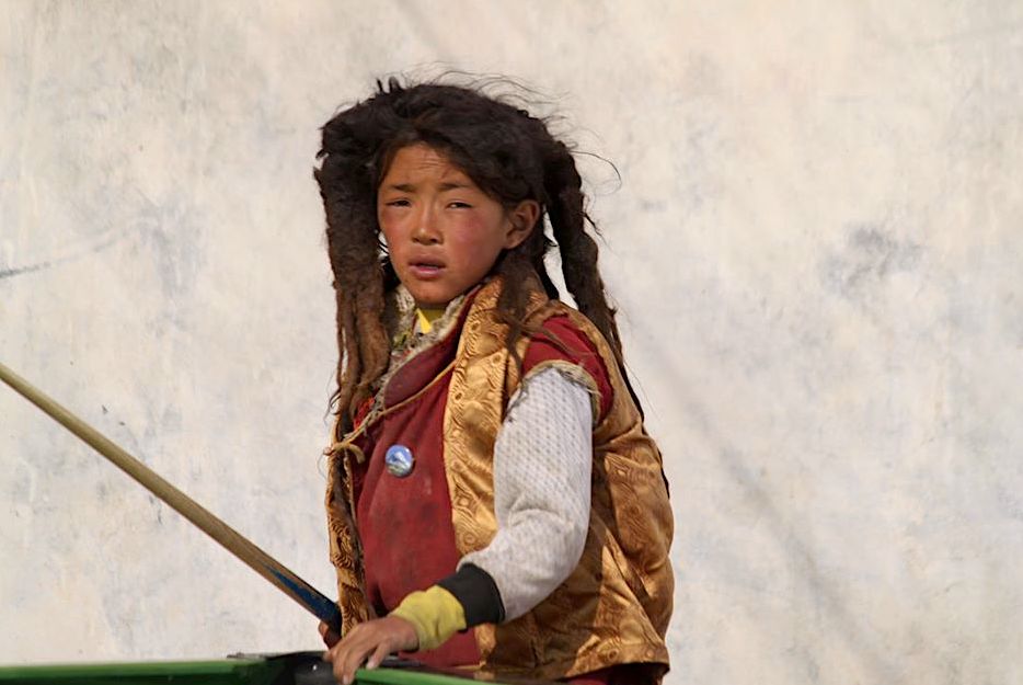Mlody Tybetanczyk z okolic Darchen